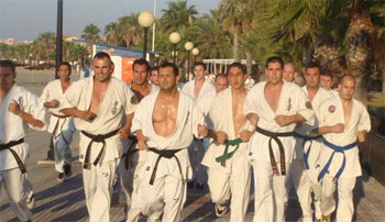 Entrenamiento de Kyokushin al aire libre