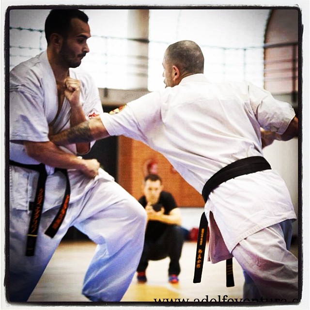 Sensei Daniel Sanchez