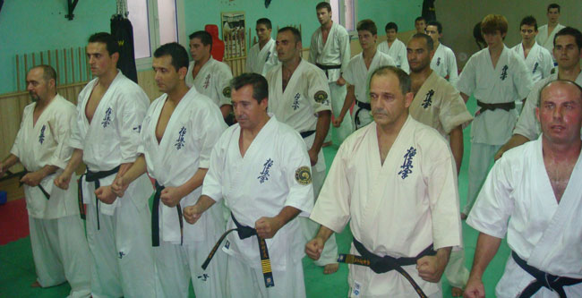 Formacin en el dojo